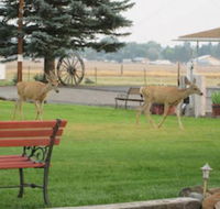 Rim Rock Motel - Accommodation Philadelphia