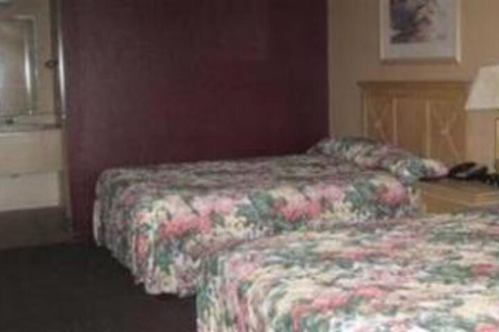 Dunedin Cove Motel - thumb 0