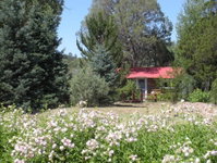 Questa Nm Accommodation Philadelphia
