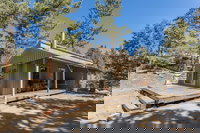 Angelus Oaks Ca Accommodation Philadelphia