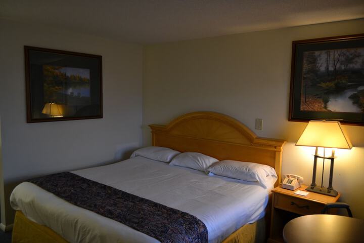 The Ship Motel - thumb 6