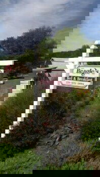 Beagle's Bed & Breakfast - thumb 3