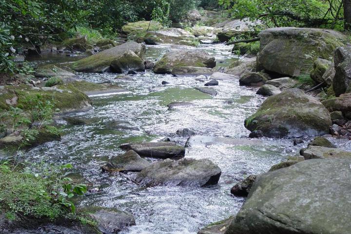 Creekside Overlook Secluded Log Cabin Overlooking Creek - thumb 2