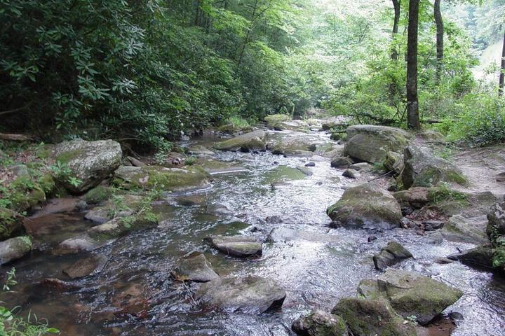 Creekside Overlook Secluded Log Cabin Overlooking Creek - thumb 3