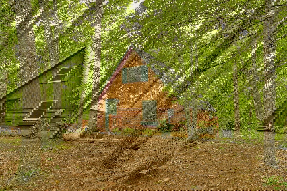 Triple Treat- Rustic Cabin Near Blue Ridge - thumb 0