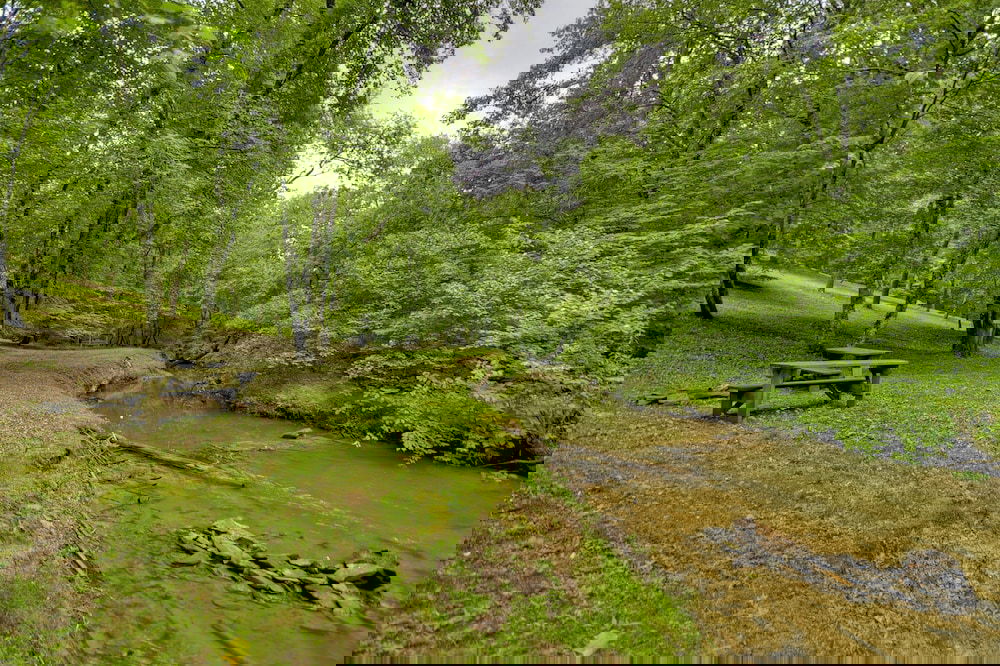 Sugar Creek Retreat - thumb 3