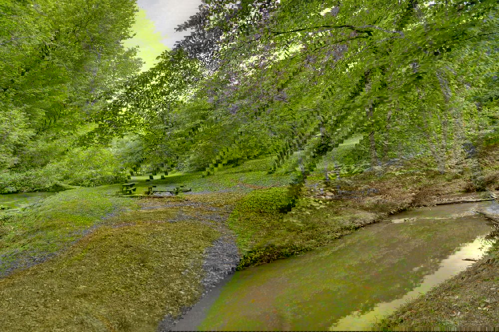 Sugar Creek Retreat - thumb 2