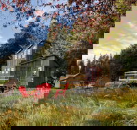 Clydesdale Outpost - Accommodation Philadelphia