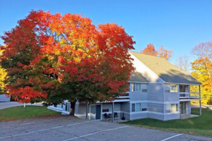KCIS 322 Killington 2RM Suite Sleeps 6 Modern New! - thumb 2
