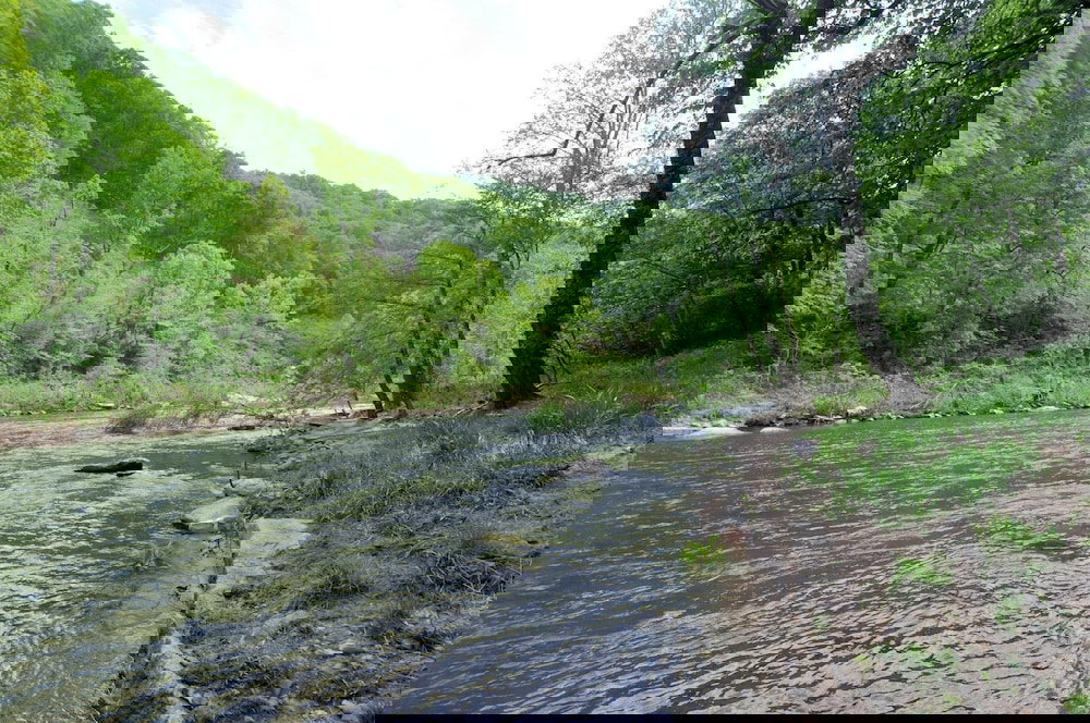 River Time Cabin - thumb 0