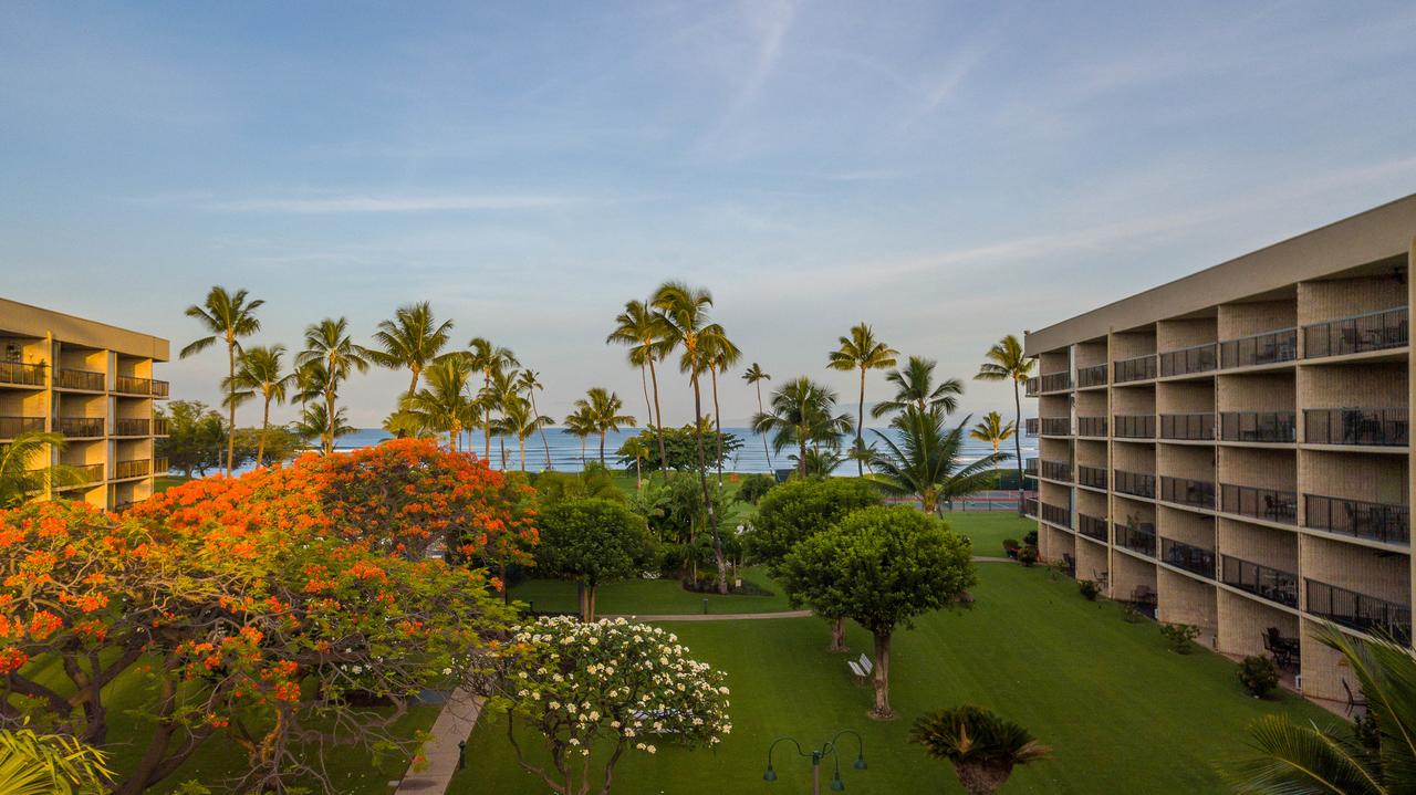 Maui Sunset - thumb 9