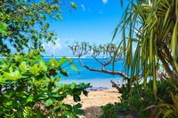 Booking Kilauea Accommodation Philadelphia