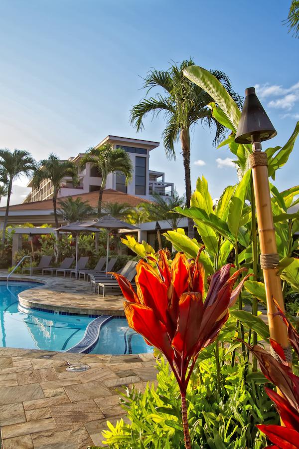Maui Coast Hotel - thumb 6