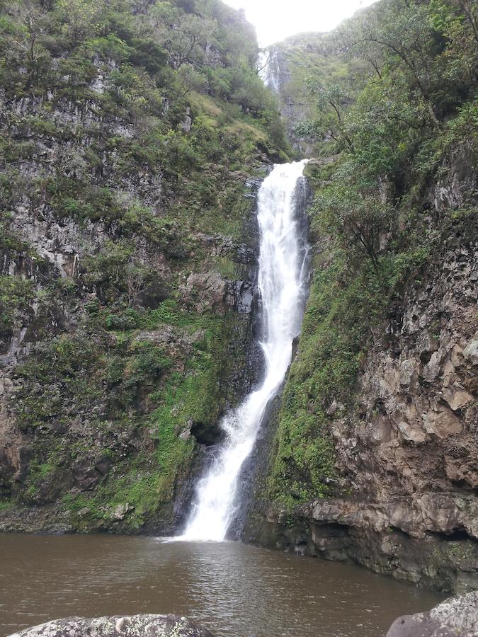 Ka Hale Ola - thumb 10