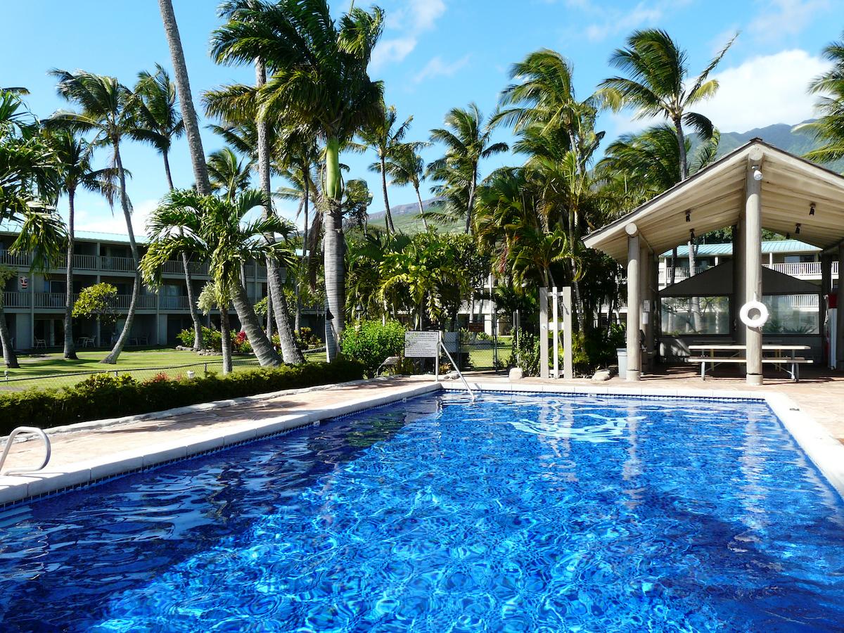 Ka Hale Ola - thumb 8