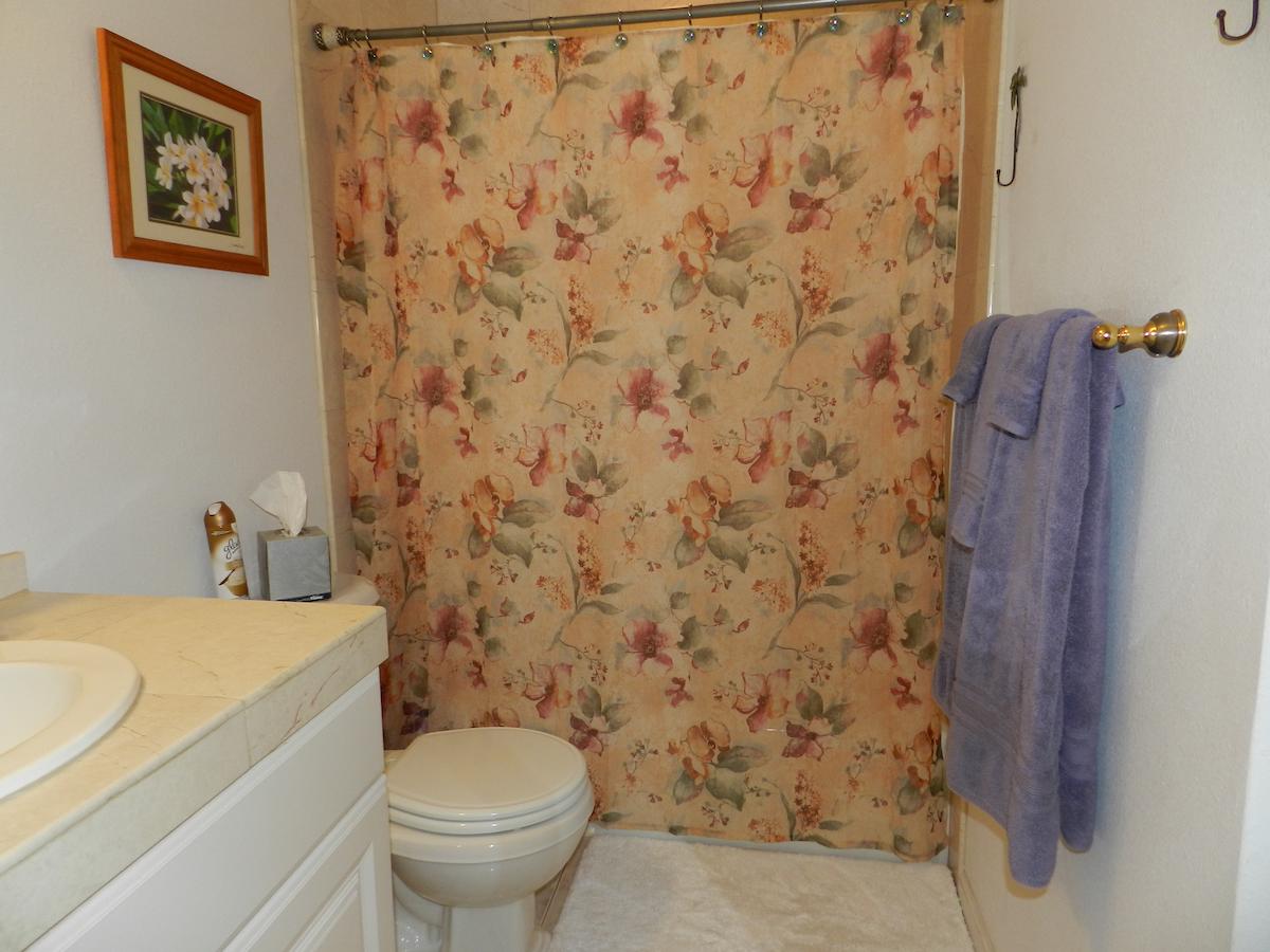 Ka Hale Ola - thumb 13