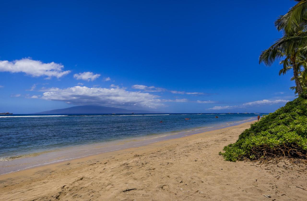 506 Lahaina Shores Studio - thumb 33