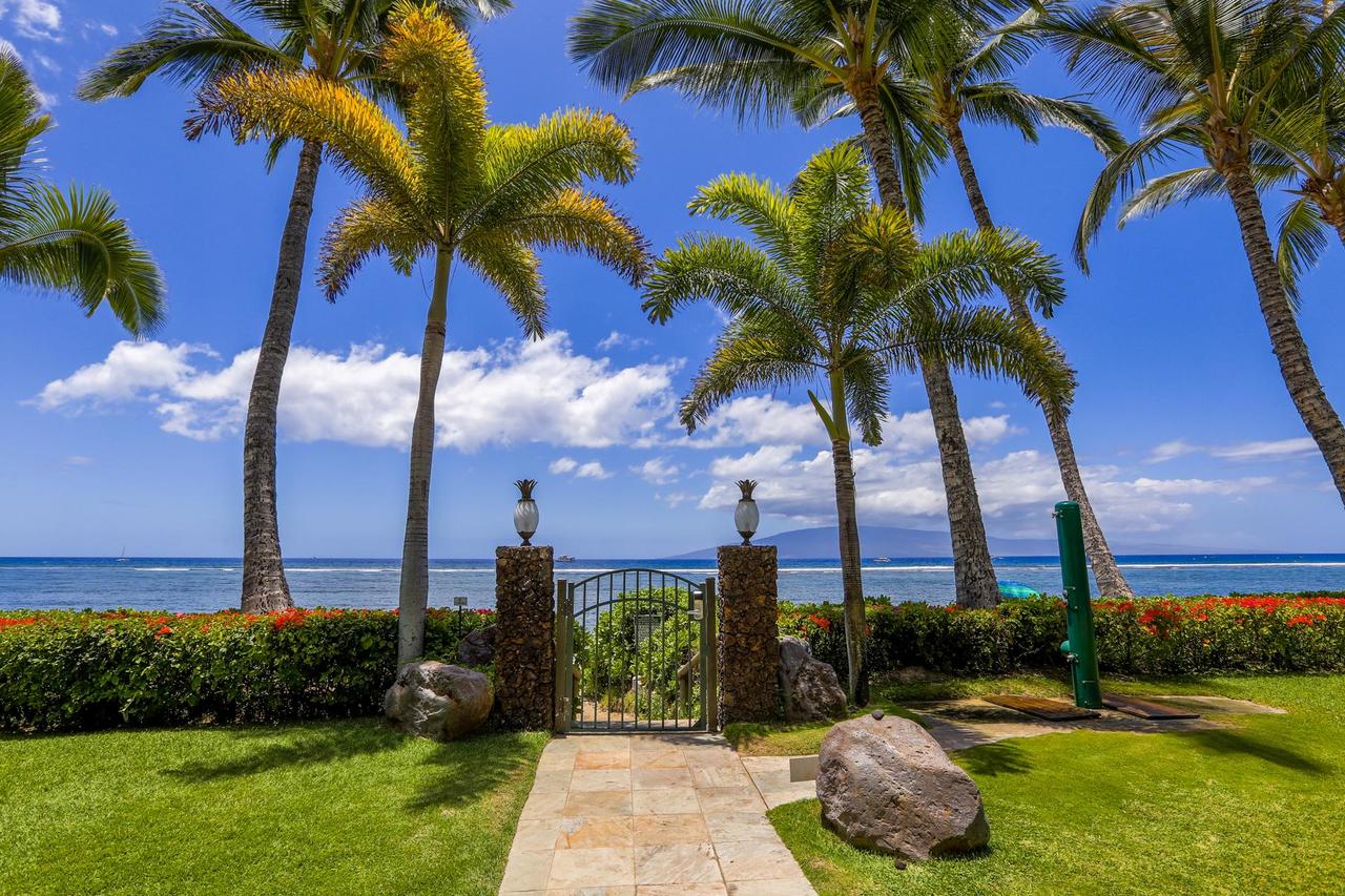 506 Lahaina Shores Studio - thumb 6