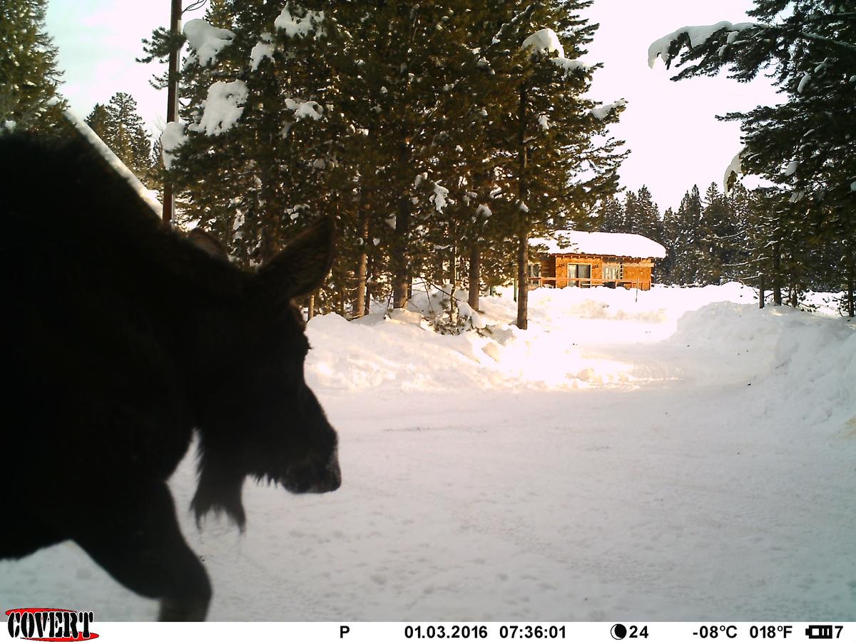 True Grit Adventure - thumb 22