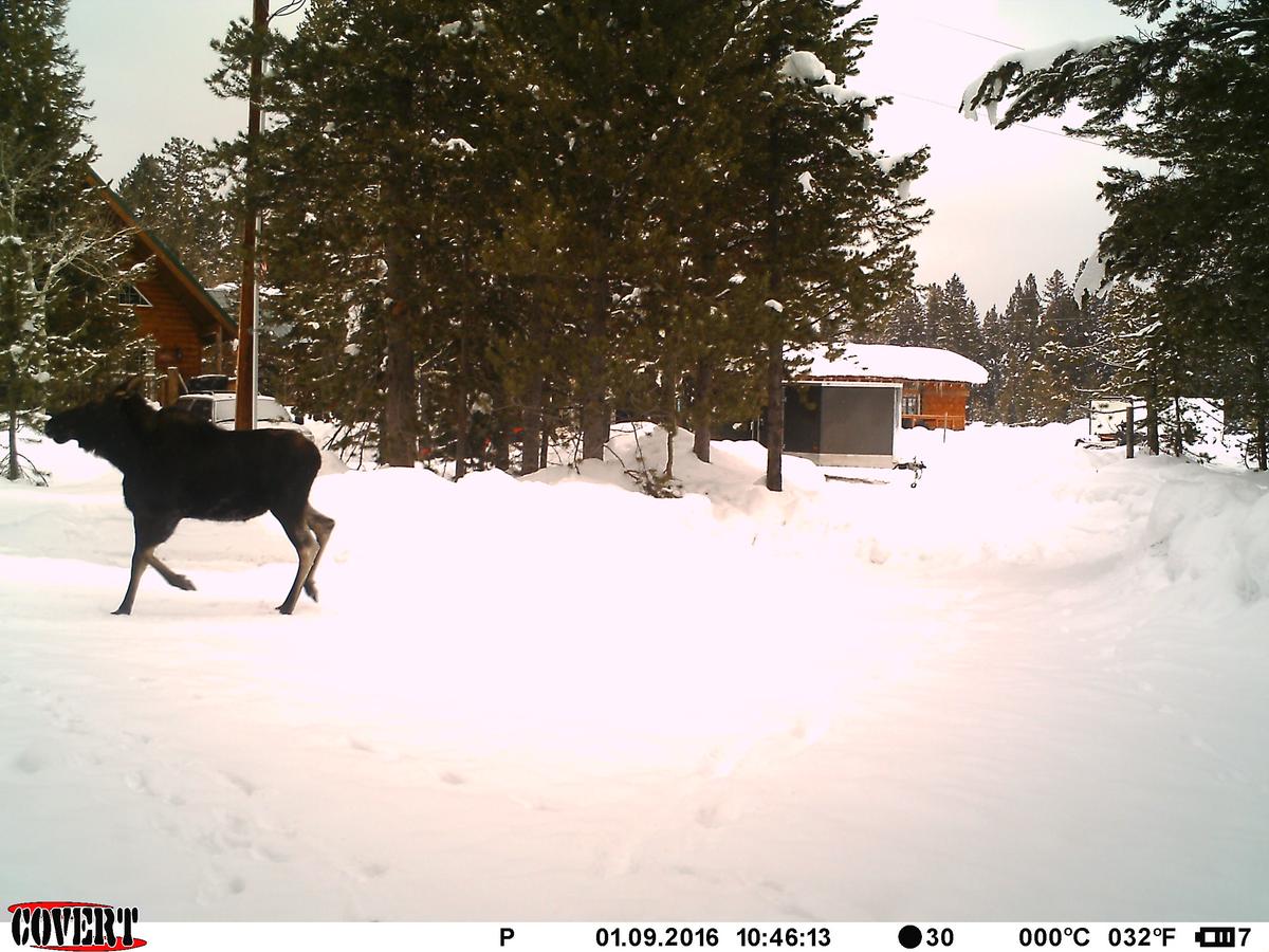 True Grit Adventure - thumb 19