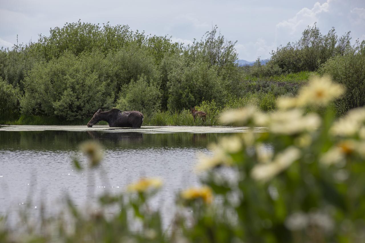 True Grit Adventure - thumb 17