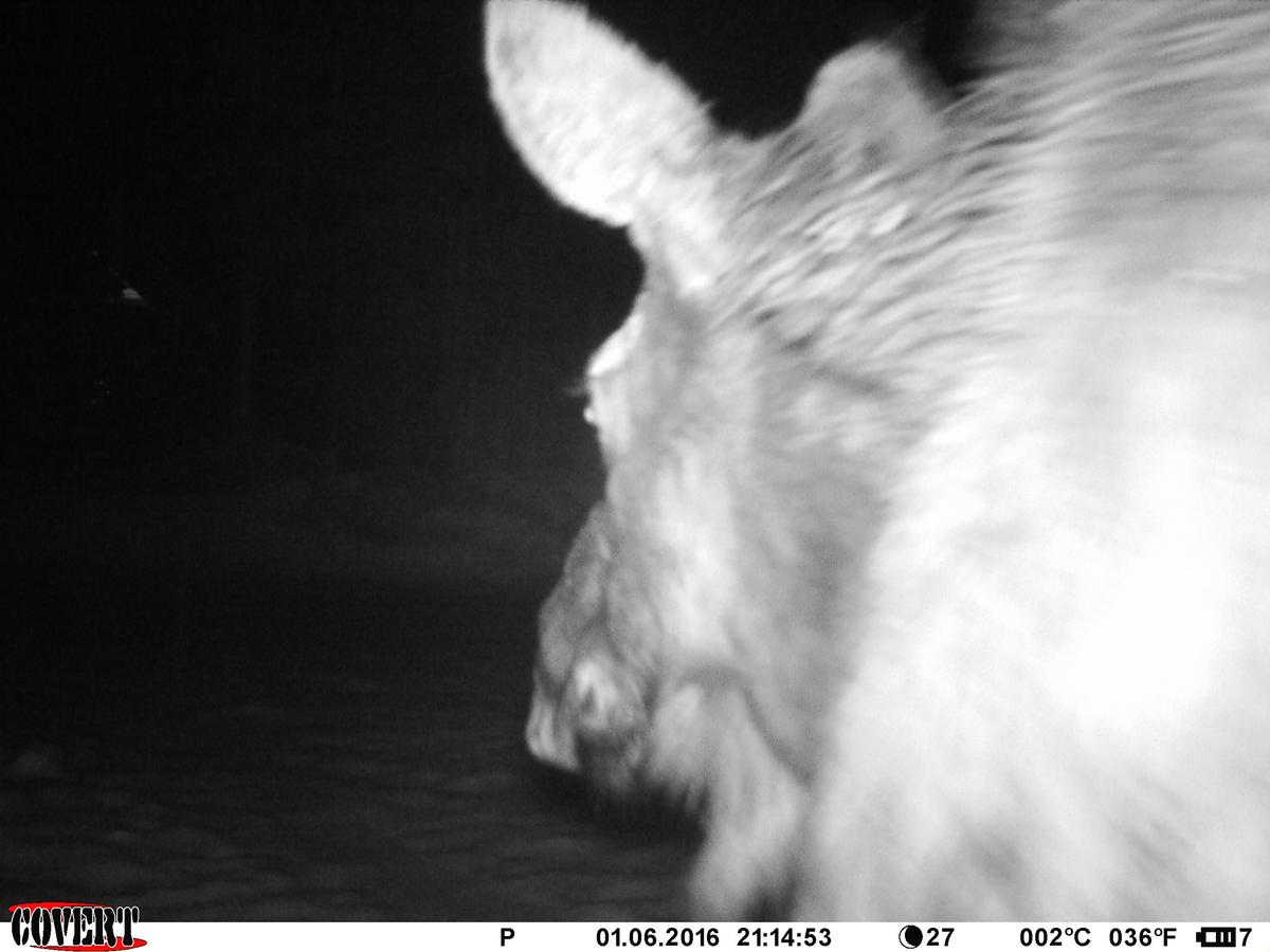 True Grit Adventure - thumb 23