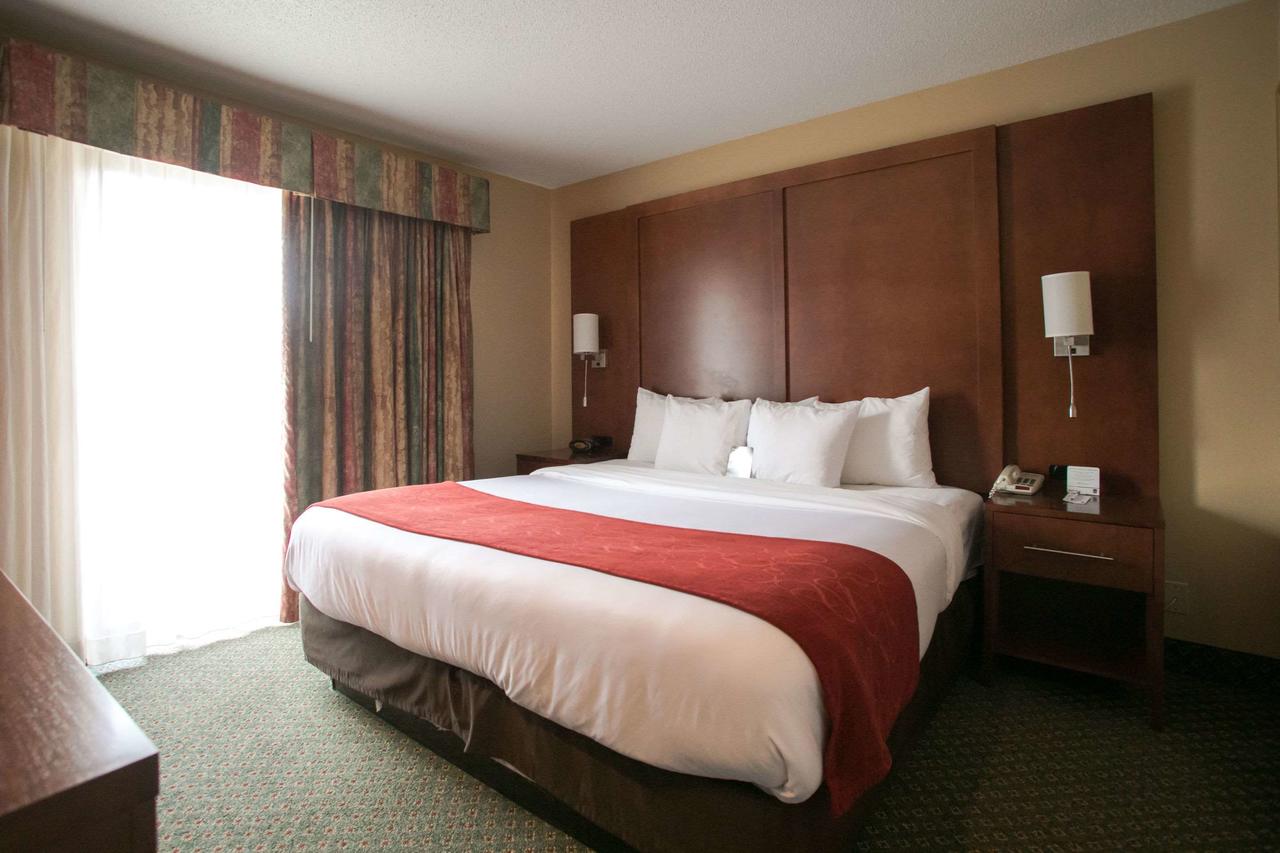 Comfort Suites Chicago - Oakbrook Terrace - thumb 9