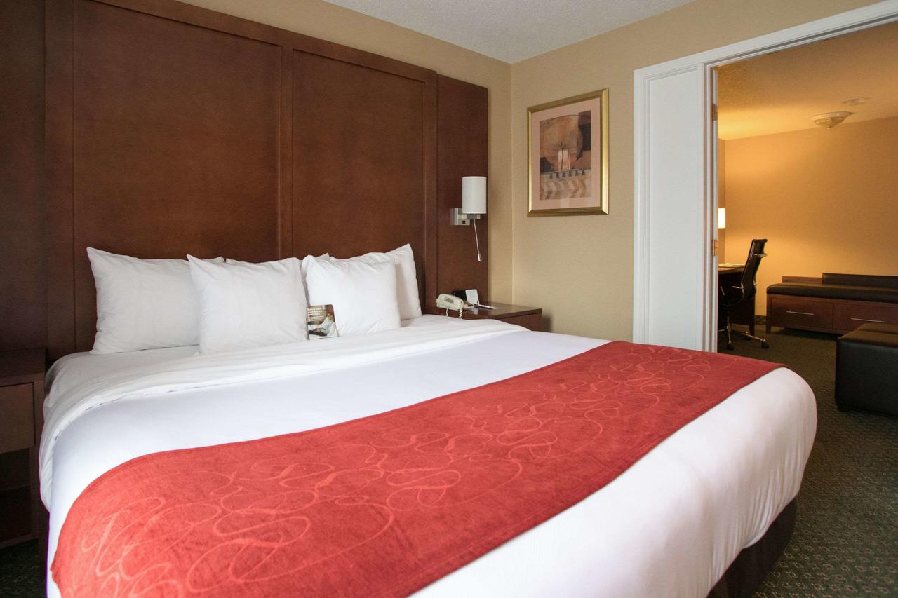 Comfort Suites Chicago - Oakbrook Terrace - thumb 16