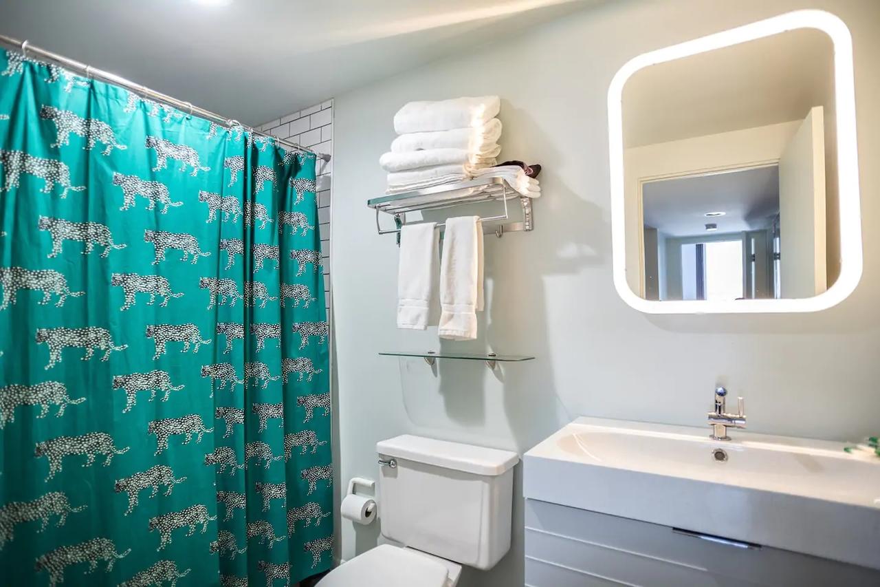 Luxury Downtown Penthouse With Private Rooftop! - thumb 12