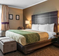 Comfort Inn Fort Wayne - Accommodation Philadelphia