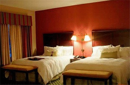 Hampton Inn & Suites Ankeny - thumb 10