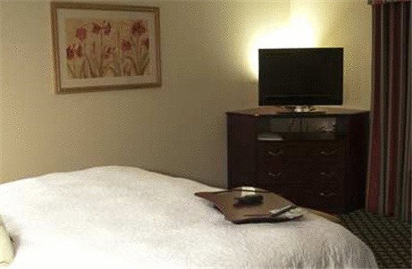 Hampton Inn & Suites Ankeny - thumb 12