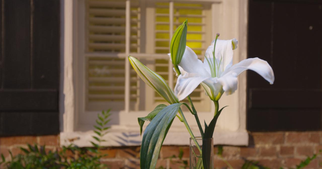 Hotel Royal New Orleans - thumb 38