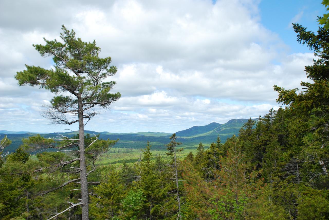 Rangeley Lake Resort - thumb 43