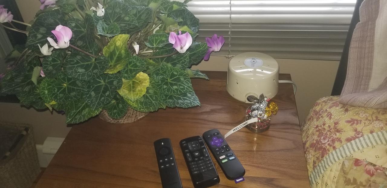 Hallowell Rooming House - thumb 28