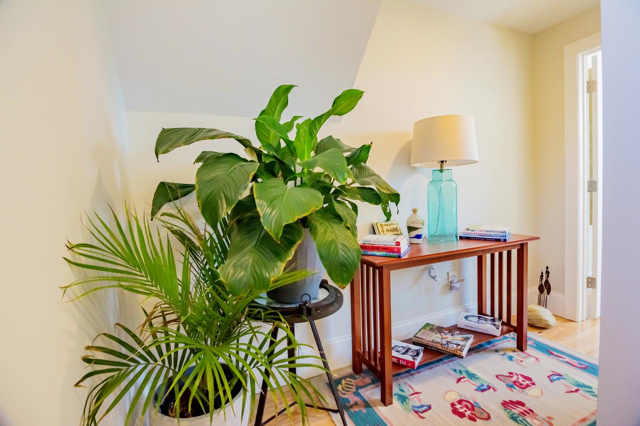 10 Ocean Street Cottage - thumb 4