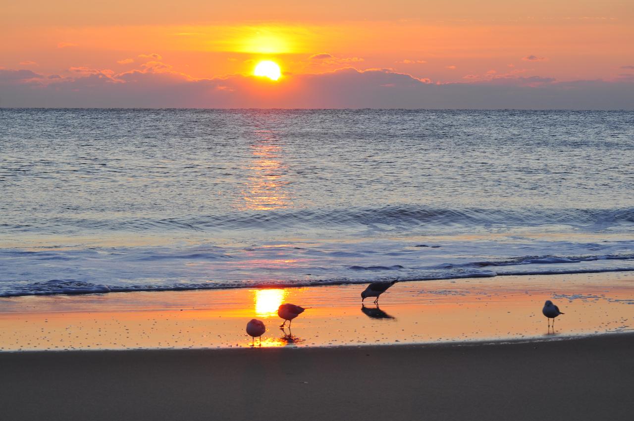 Atlantic Oceanfront Inn - thumb 36