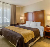 Comfort Inn Red Horse - Accommodation Philadelphia