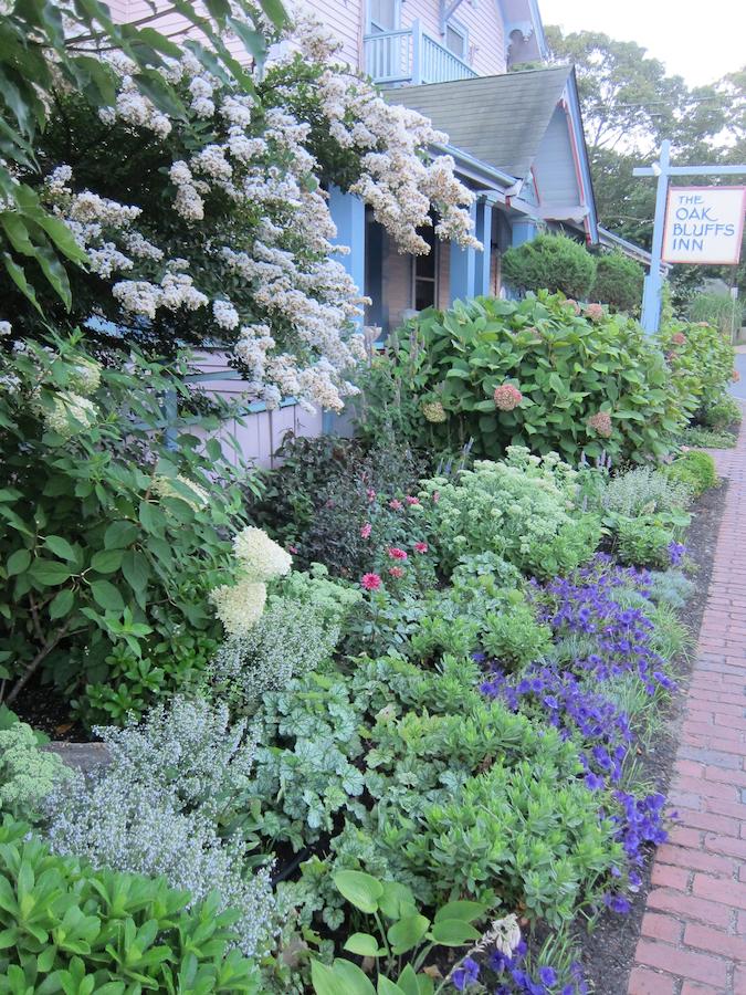 The Oak Bluffs Inn - thumb 15