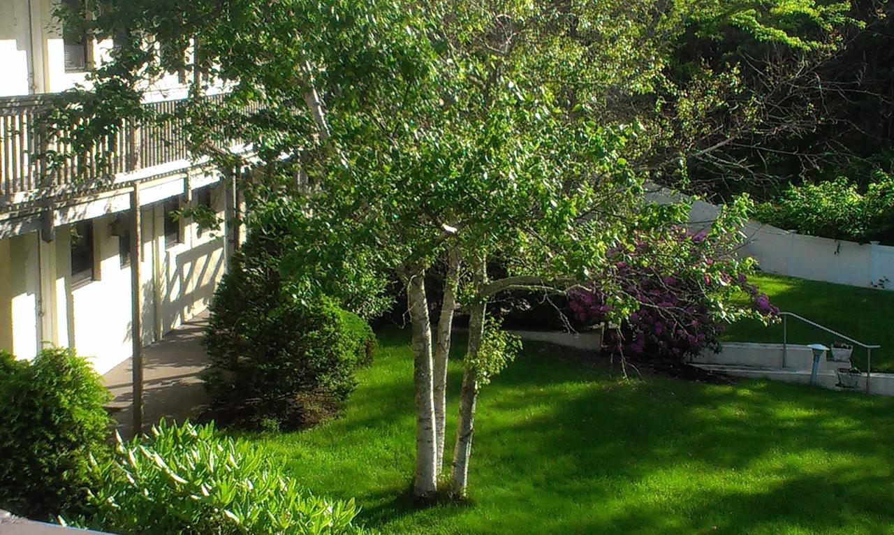 Surf & Sand Beach Motel - thumb 17