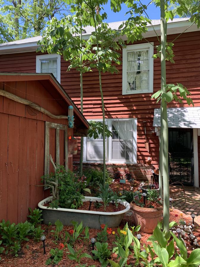 Clarksdale White House & Delta Bohemian Guest House - thumb 39