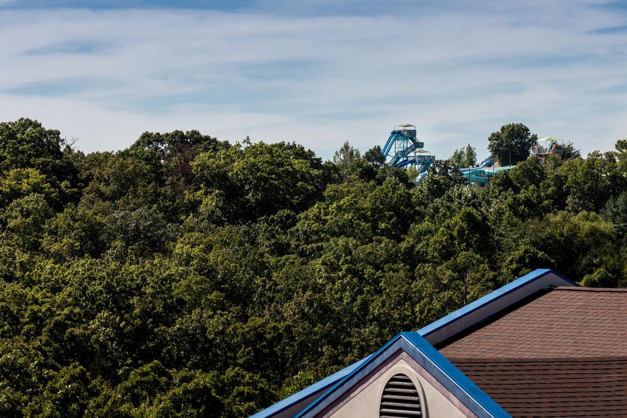 Angel Inn - By The Strip - thumb 2