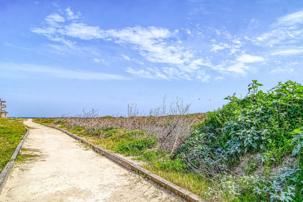 Pathway 14838 - thumb 33