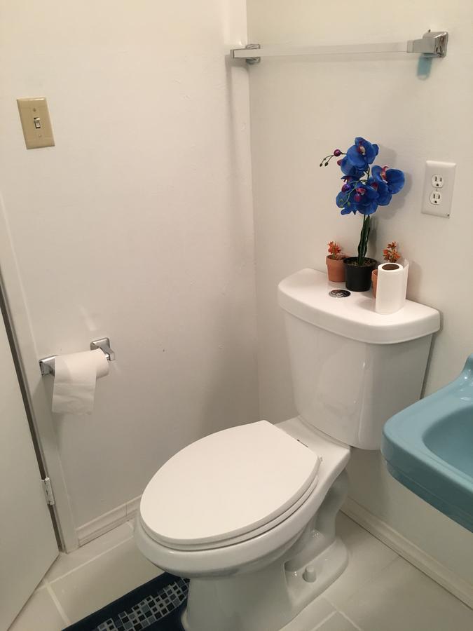 The Yellow Penthouse - thumb 42