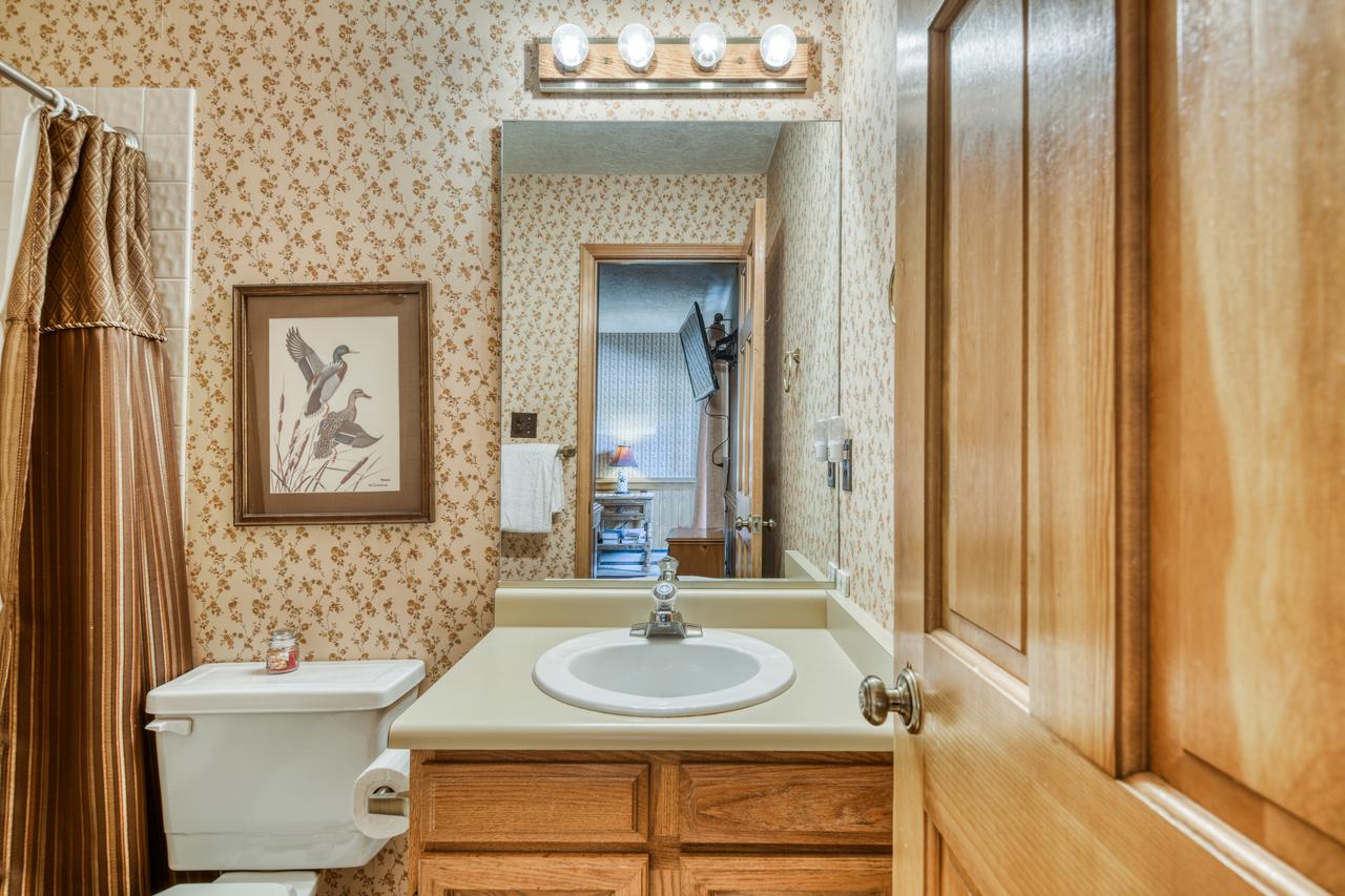 Snowfire 209B - thumb 10