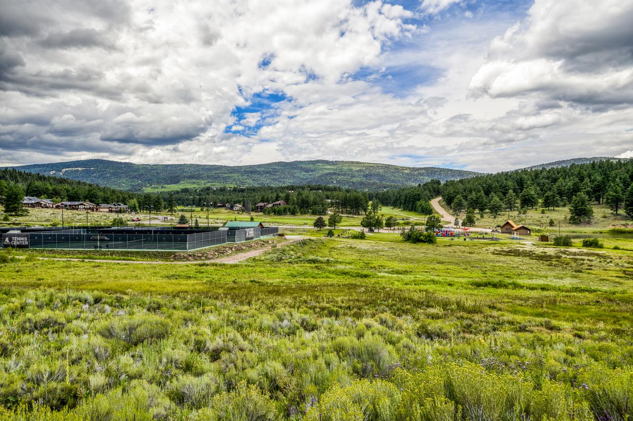 Snowfire 209B - thumb 0