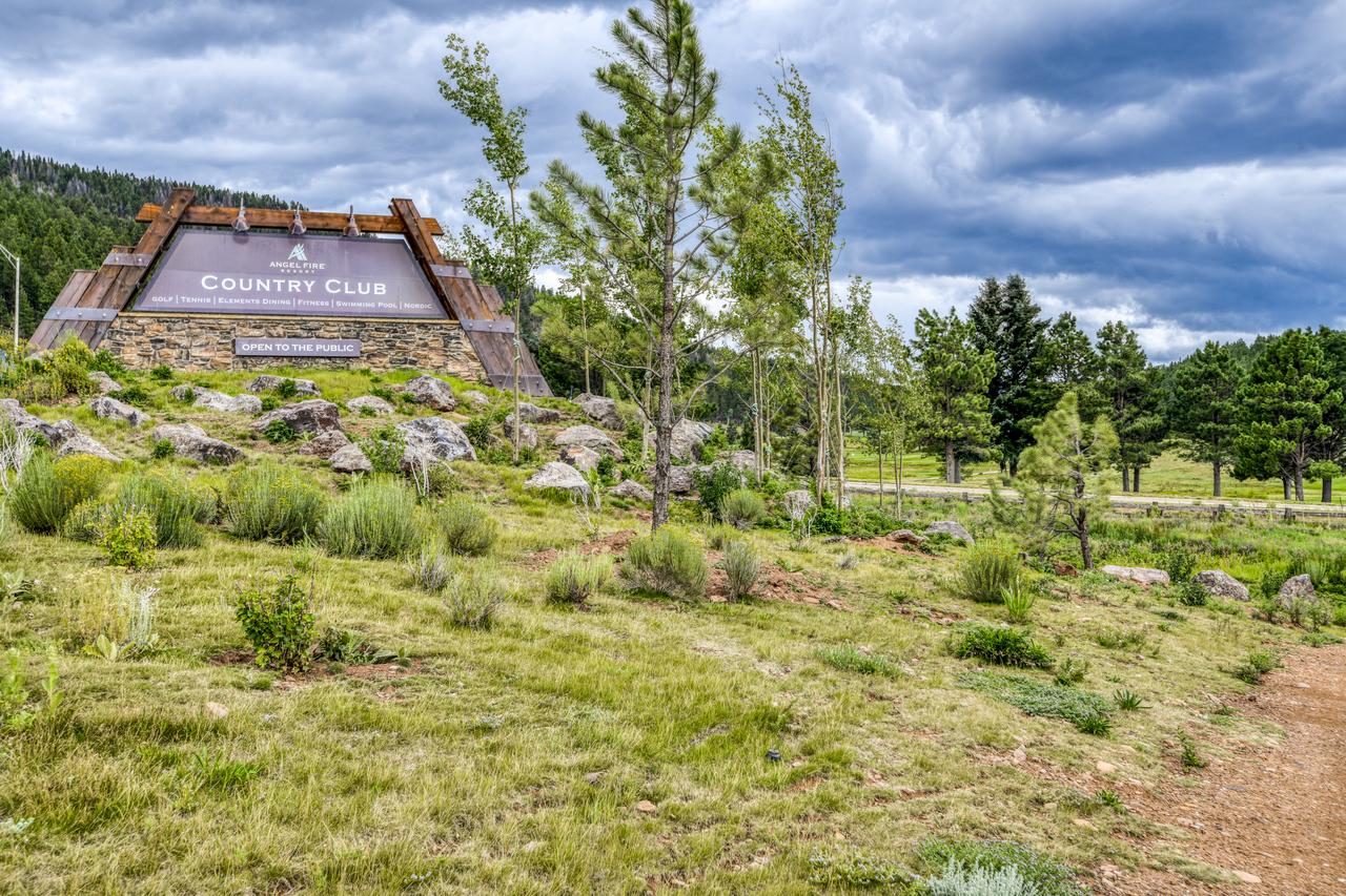 Snowfire 209B - thumb 20