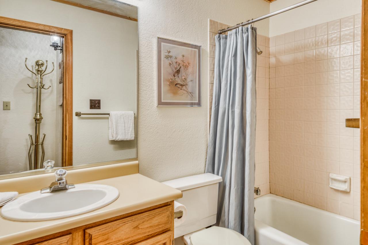 Snowfire 209B - thumb 15