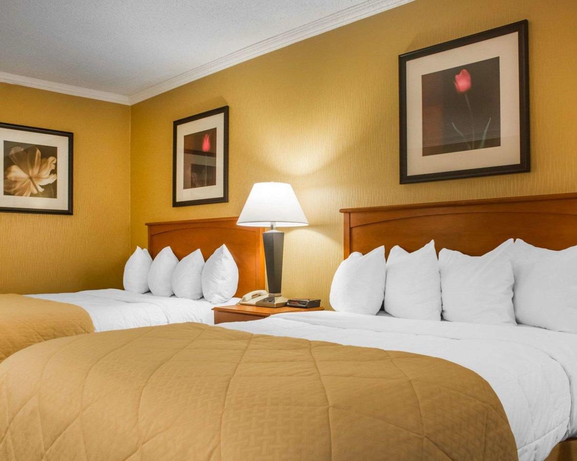 Quality Inn & Suites Riverfront Oswego - thumb 4
