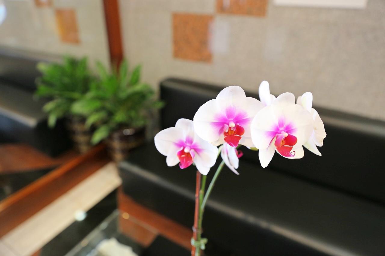 Phoenix Hotel - thumb 35